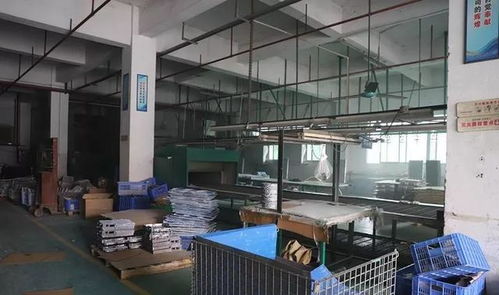 虎門路東一企業違規復工遭再查封，房地產信息咨詢行業監管趨嚴
